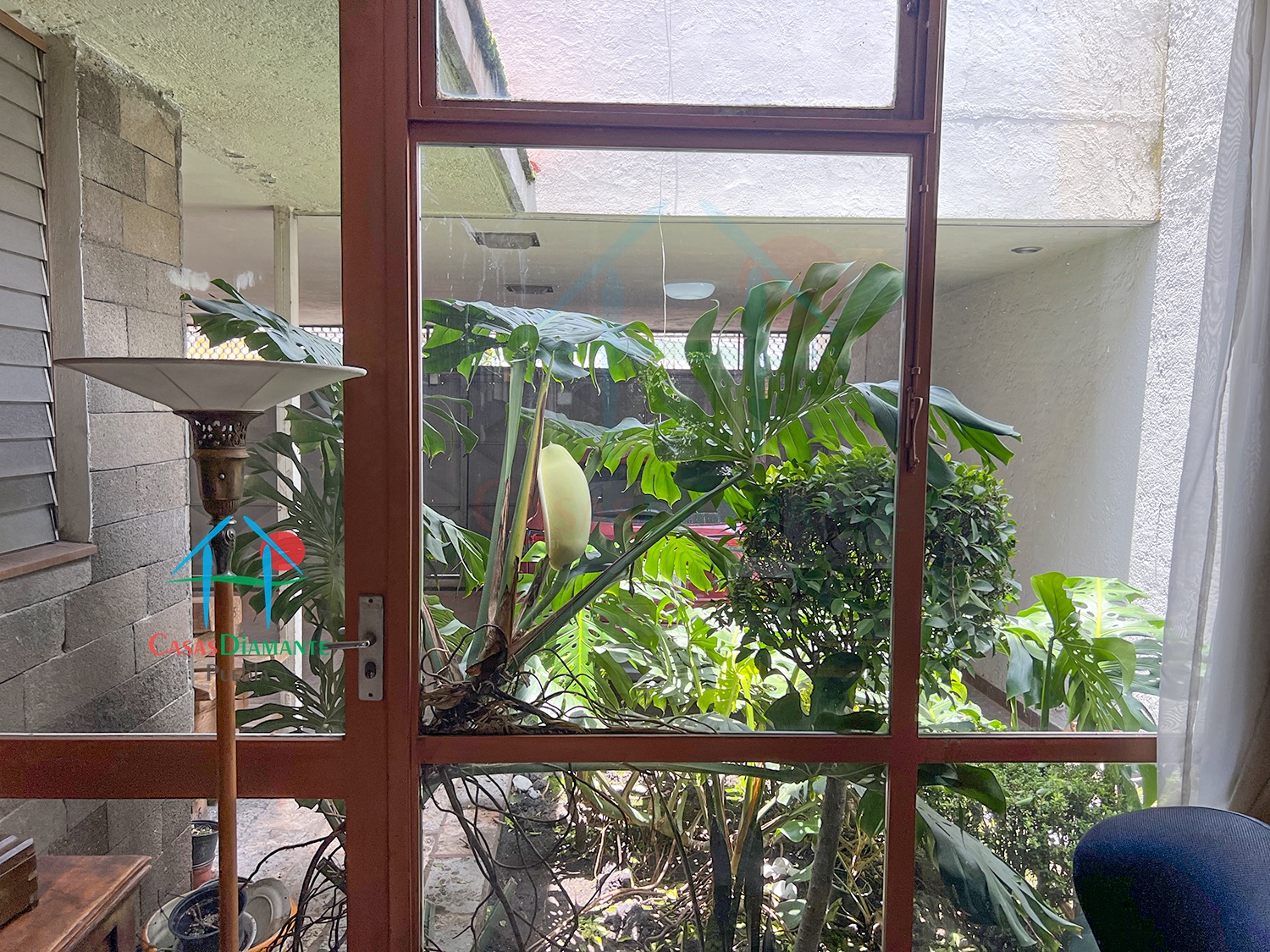 El Carmen Huexotitla Casa Toya - Despacho 5 El Carmen Huexotitla Casa Toya - Despacho 5